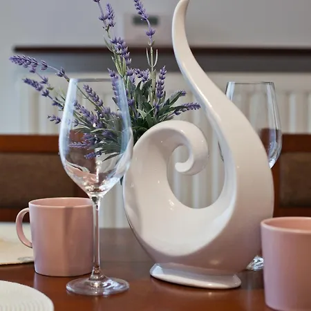 Aba - Klasyczny Centrum Daire *